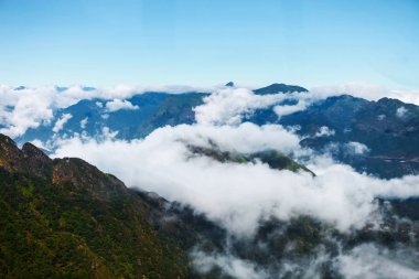 Fasipan dağın bulut ile