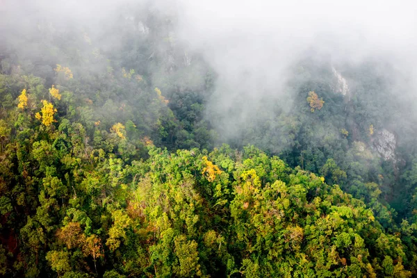 Sapa Vadisi şehir Sisteki, Vietnam