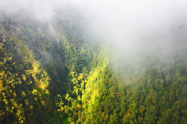 Sapa Vadisi şehir Sisteki, Vietnam