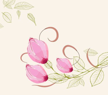 Bahar çiçek açan çiçekler, Bahar