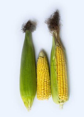 Beyaz izole lezzetli, Olgun tatlı mısır