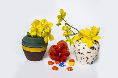 Sarı kayısı çiçek vazo ve hediye beyaz arka planda, geleneksel ay yeni yıl Vietnam izole