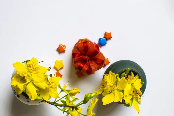Žlutá Květina Meruňka Vázu Dar Izolovaných Bílém Pozadí Tradiční Lunární — Stock fotografie