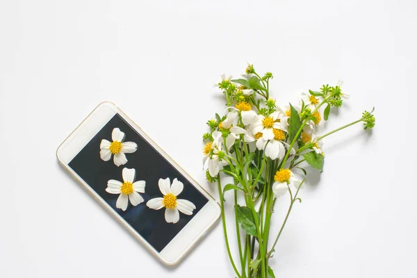 Дикие Цветы Украшения Смартфона Изолированы Белом Фоне — стоковое фото