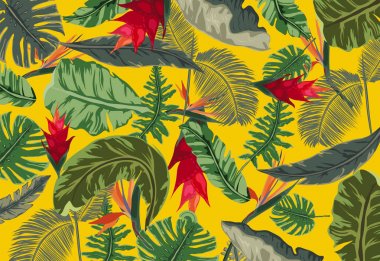 Arka plan ile tropikal bitkiler - çiçekler ve bitkiler doğa