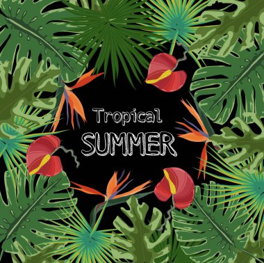 Arka plan ile tropikal bitkiler - çiçekler ve bitkiler doğa