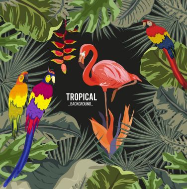 Yaz tropikal arka plan. Palmiye ve muz ile Flamingo kuşu, papağan ve tatula çiçek yaprakları