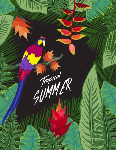 海报热带植物群和动物区系 鹦鹉背景 — 图库矢量图片