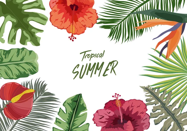 Sommar Tropiska Bakgrunden Med Blommor Bakgrund Med Tropiska Växter Blommor — Stock vektor