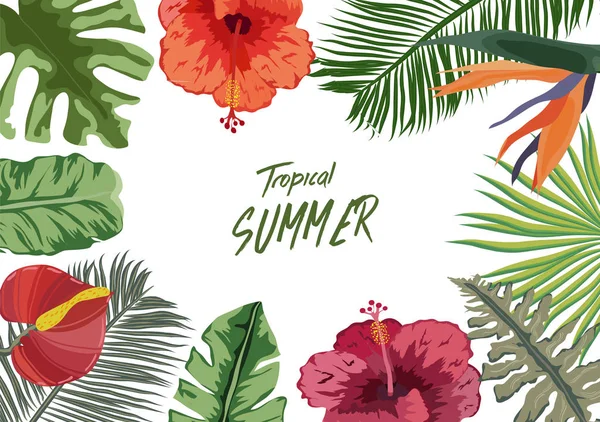 Fondo Tropical Verano Con Flores Antecedentes Con Plantas Tropicales Flores — Vector de stock