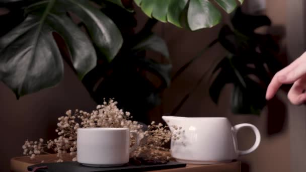 Café con leche en casa sobre fondo de planta monstruo — Vídeo de stock