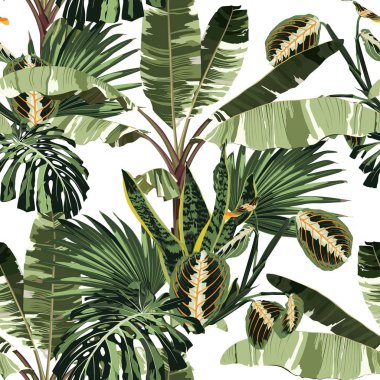 Tropical palm trees, banana tree and exotic plants floral seamless pattern background. Exotic jungle wallpaper.