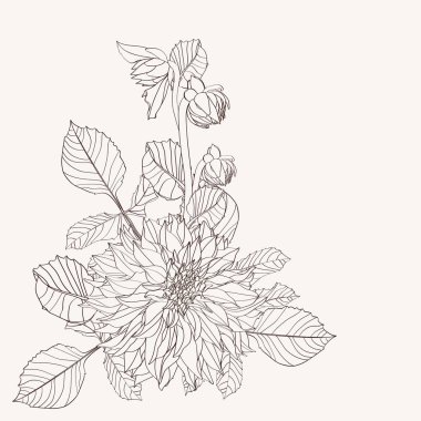 Flowers bouquet in black line isolated on white background. Floral elements in contour style with Dahlia flower for summer design and coloring book.