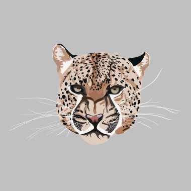 Graceful leopard and tropical leaves. Savana cat. Elegant poster, t-shirt composition, hand drawn style print. 
