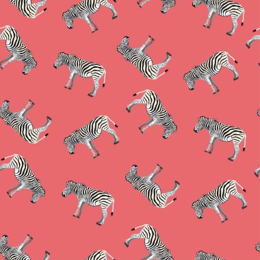 Seamless pattern, background with adult zebra. Realistic drawing, animalism. Illustration on bright background.