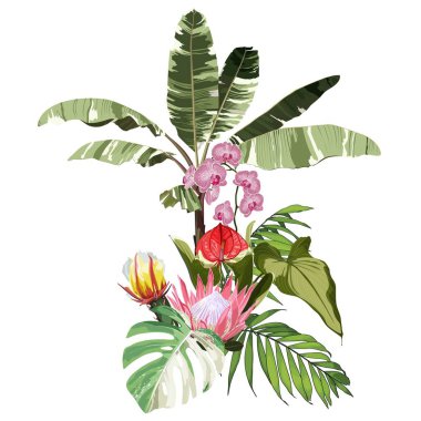 Tropical palm bananas tree, coconut, red hibiscus flower composition over white background. Fashion summer print for wrapping, fabric, invitation card and your template design.