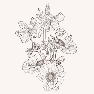 Hand drawn summer vintage beige bouquet: rustic anemones, line art. Hand painted flowers isolated on beige background for design.
