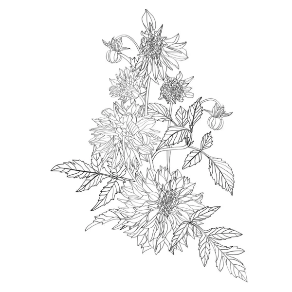 Flowers Bouquet Black Line Isolated White Background Floral Elements Contour — ストックベクタ