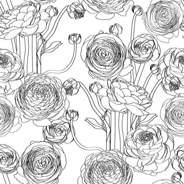 Elegantní Bezešvý Vzor Ručně Kreslenou Linií Květy Ranunculus Květinový Vzor — Stockový vektor
