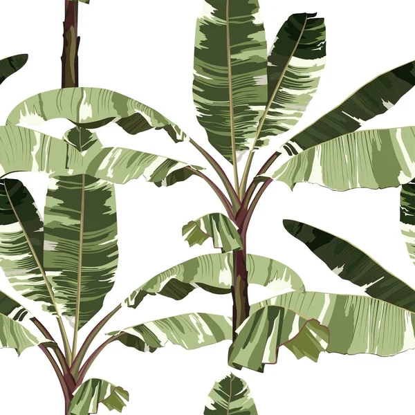 Tropische Palmen Bananenbäume Und Exotische Pflanzen Floralen Nahtlosen Muster Hintergrund — Stockvektor