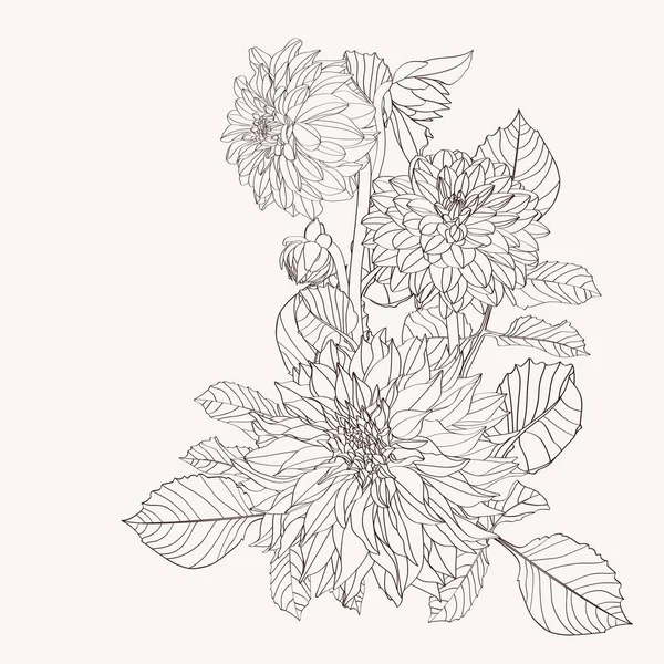 Flowers bouquet in vintage beige line flowers isolated. Floral elements in contour style with Dahlia for summer design.