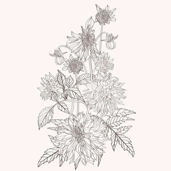 Квіти Букету Вінтажних Бежевих Лініях Ізольовані Квіткові Елементи Контурному Стилі — стоковий вектор