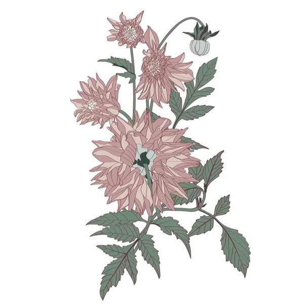 Bouquet Vintage Été Dessiné Main Dahlia Rustique Fleurs Peintes Main — Image vectorielle