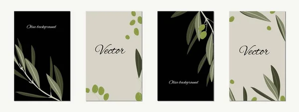 Gestaltung Von Werbeplakaten Postkarten Etiketten Für Olivenprodukte Blumen Laden Zum — Stockvektor
