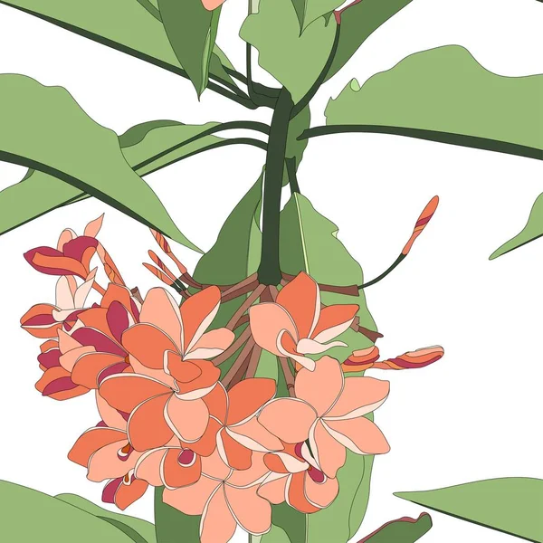 Tropical Floral Summer Seamless Pattern Background Orange Plumeria Flowers Branch — Stock vektor