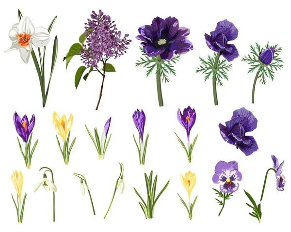 Anémonas Violetas Narcisos Viola Crocus Bayas Campanula Flores Nevada Mezcla — Vector de stock