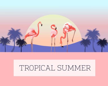 Deniz suyunda tek ayak üzerinde duran güzel pembe flamingo kuşunun vektör çizimi. Arka planda güneş ve palmiye ile birlikte. Flamingo dizaynı web sitesi, site, pankart, kart, baskı için. Pembe renk