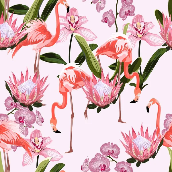 Rosa Flamingo Och Exotiska Orkidé Protea Blommor Rosa Bakgrund Blommigt — Stock vektor