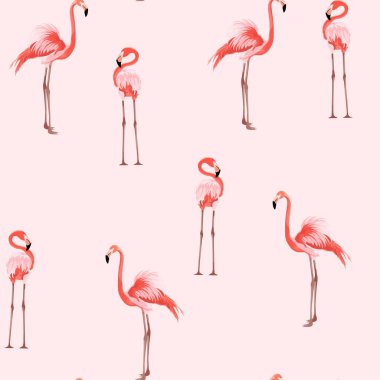 Egzotik pembe flamingo kuşları seti. Ayrıntılı vektör tasarımı çizimi beyaz arkaplanda izole edildi. Valentine..