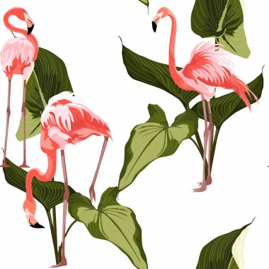Pembe flamingo ve egzotik protea çiçekleri. Çiçeksiz desen. Tropik illüstrasyon. Egzotik bitkiler, kuşlar. Yaz plajı tasarımı. Cennet doğası.