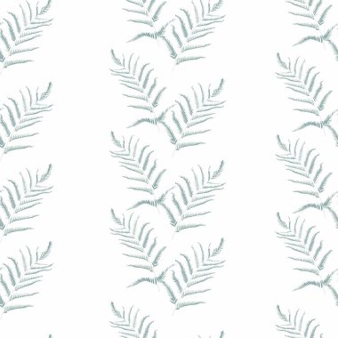 Beyaz arka planda naneli eğreltiotu yapraklarının botanik grafik deseni. Tropikal çizgili eğreltiotu otları dikişsiz kumaş arka plan.