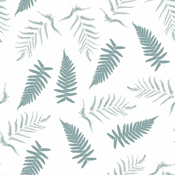 Φερν Τροπικό Δάσος Μέντα Χρώματα Φυτών Φύλλα Απρόσκοπτη Απεικόνιση Απλό — Διανυσματικό Αρχείο