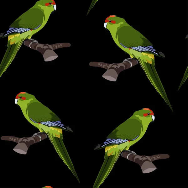 Grüner Papagei Mit Nahtlosem Muster Auf Schwarzem Hintergrund Für Tapete — Stockvektor