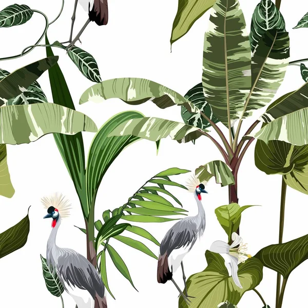Tropikalne Botaniczne Dzikie Ptaki Kwiatowa Palma Bezszwowa Wzór Białym Tle — Wektor stockowy
