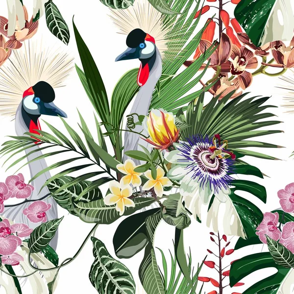 Exotic birds, passion flowers, monstera palm leaves, white background. Floral seamless pattern. Tropical illustration. Exotic plants, birds. Summer beach design. Paradise nature.