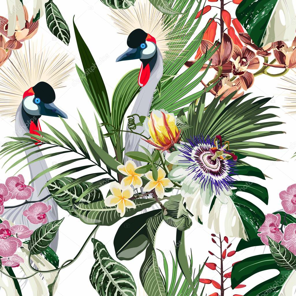 Exotic birds, passion flowers, monstera palm leaves, white background. Floral seamless pattern. Tropical illustration. Exotic plants, birds. Summer beach design. Paradise nature.