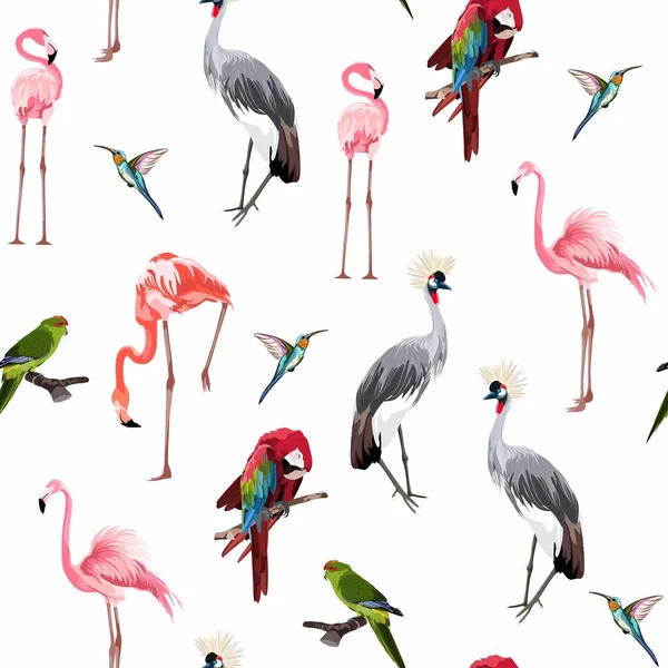 Many Kind Tropical Birds Flamingo Parrot Hummingbrd Pattern Seamless Texture — Stock Vector