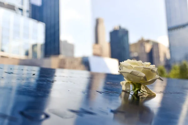 Fotografias conceituais do memorial da zona zero. Flor em primeiro plano e edifícios desfocados no fundo Manhattan, Nova York, EUA — Fotografia de Stock