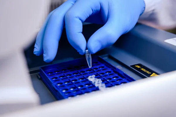 Biyobilim laboratuvarında bir DNA tüpünü bir PCR (polimeraz zincir reaksiyonu) termosiklet makinesine yüklemek. Bilim kavramı, laboratuvar ve hastalıklar üzerine çalışma.