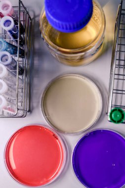 Petri kapları, test tüpleri ve laboratuvar ekipmanları, renkli sıvılarla. Bilim kavramı, laboratuvar ve hastalıklar üzerine çalışma.