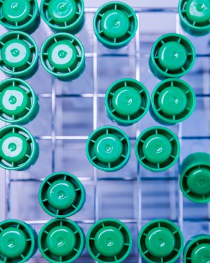 Test tüpleri rafta, yukarıdan görüş. Bilim kavramı, laboratuvar ve hastalıklar üzerine çalışma.