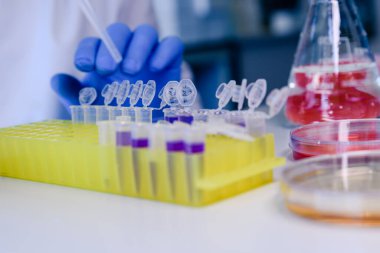 DNA araştırmaları için plastik tüplerde pipet ve matarayla çalışan bir bilim adamı. Bilim kavramı, laboratuvar ve hastalıklar üzerine çalışma.