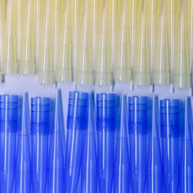 Mavi ve sarı evrensel laboratuvar pipet uçları. Laboratuvar ve bilim materyali kavramı.