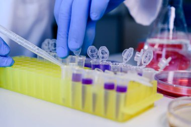 DNA araştırmaları için plastik tüplerde pipet ve matarayla çalışan bir bilim adamı. Bilim kavramı, laboratuvar ve hastalıklar üzerine çalışma. Coronavirus (COVID-19) tedavisi geliştiriliyor.