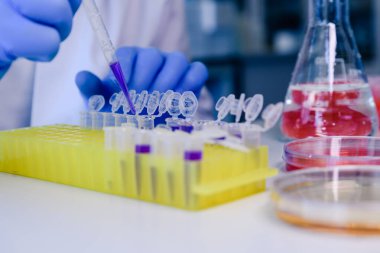 DNA araştırmaları için plastik tüplerde pipet ve matarayla çalışan bir bilim adamı. Bilim kavramı, laboratuvar ve hastalıklar üzerine çalışma. Coronavirus (COVID-19) tedavisi geliştiriliyor.