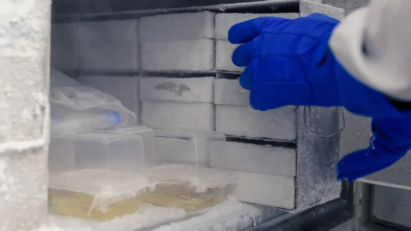 Biyolojik bilim laboratuarındaki dondurucuda bilimsel manipülasyon testleri. Bilim kavramı, laboratuvar ve hastalıklar üzerine çalışma. Coronavirus (COVID-19) tedavisi geliştiriliyor.